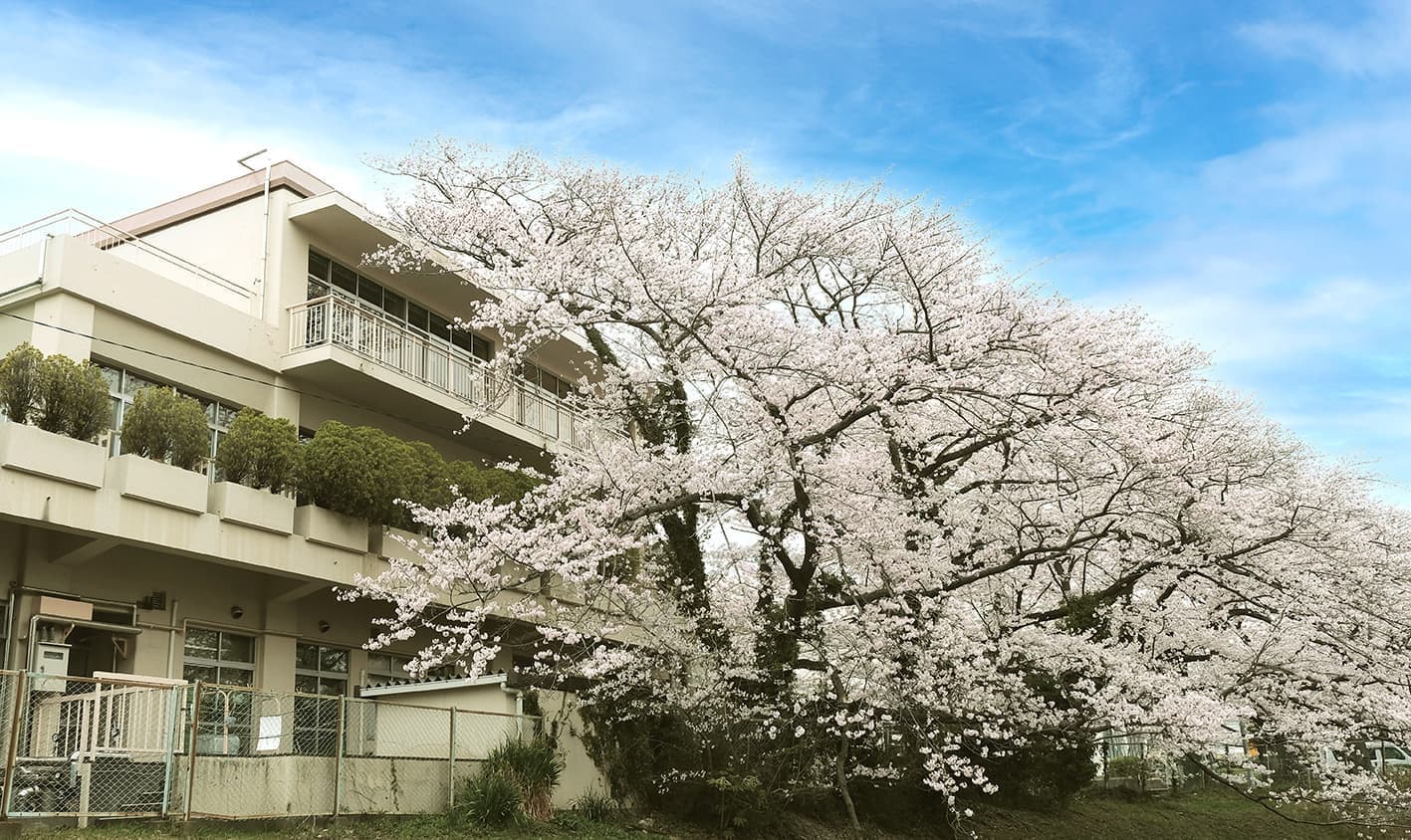 福寿荘と満開の桜